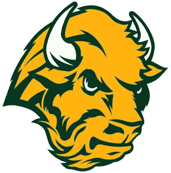 North Dakota State Bison 2005-2011 Alternate Logo iron on transfers for fabric